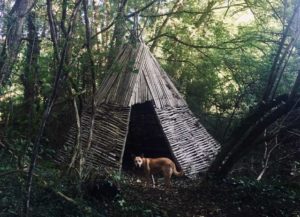 Le camp dans les bois